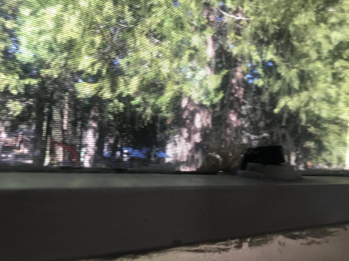 Dunsmuir Lodge Zewnętrze zdjęcie