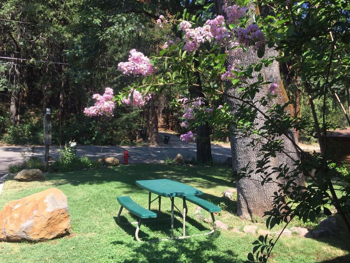 Dunsmuir Lodge Zewnętrze zdjęcie